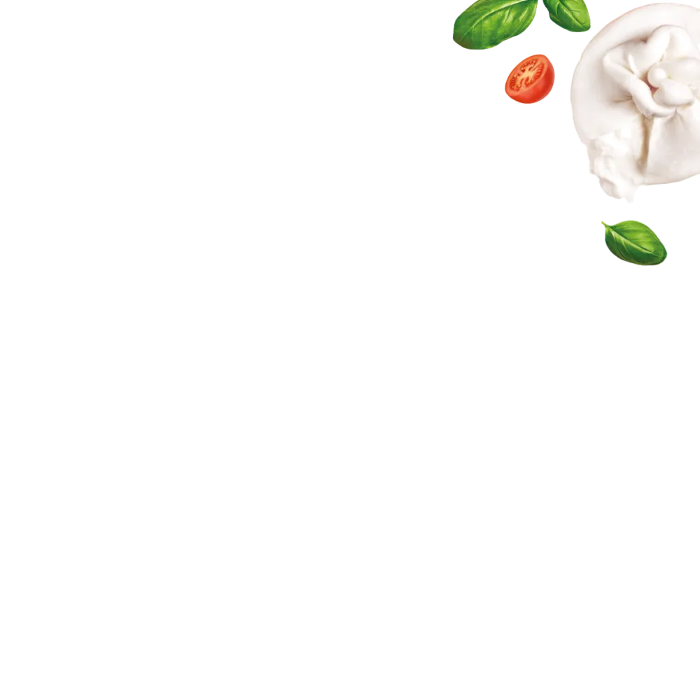 Ciro • I NGRÉDIENTS KIT BASILIC